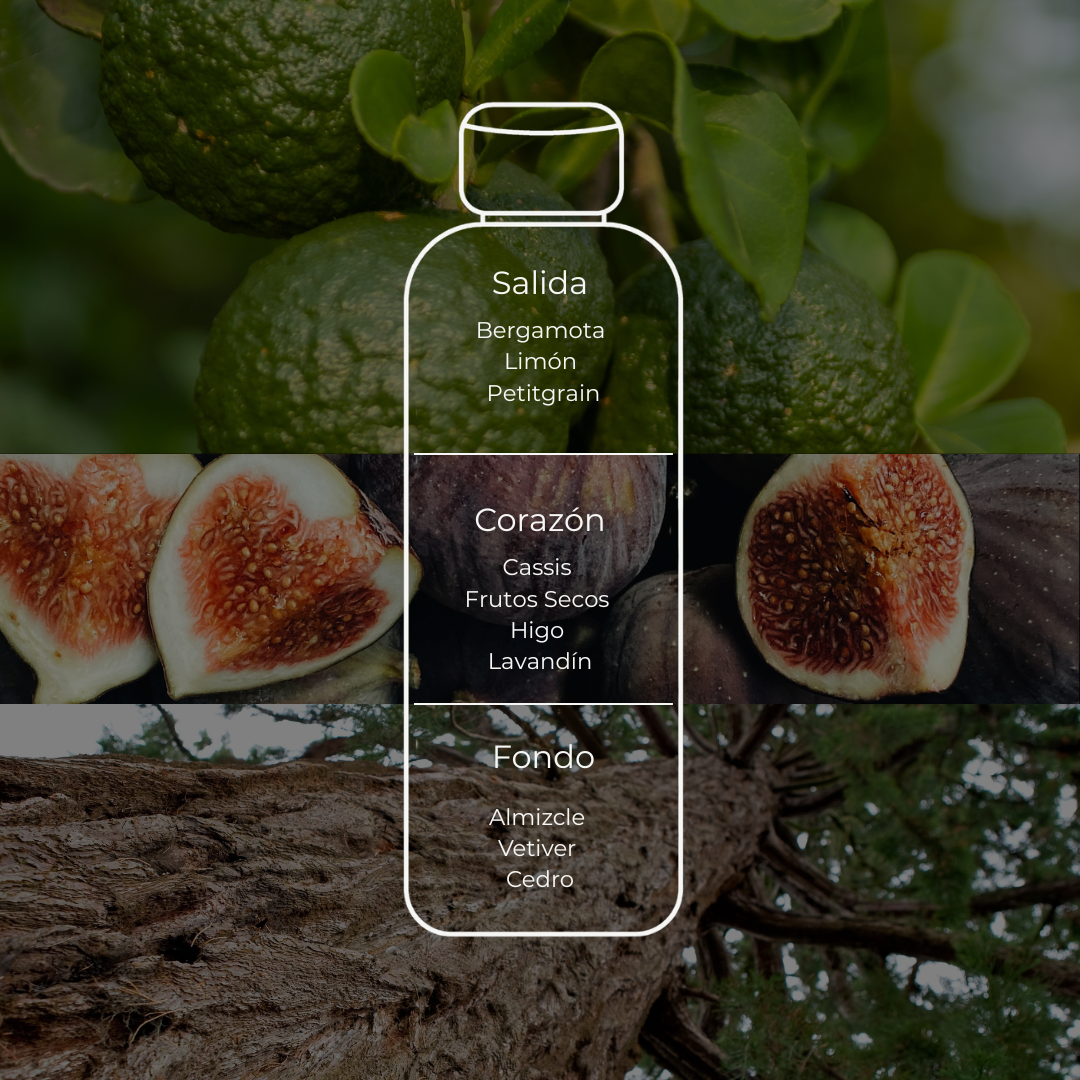 Fig Sunset